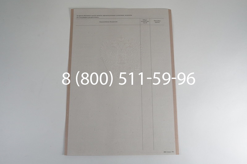 Заказать Академическая справка 1996-2009 года в Тюмени