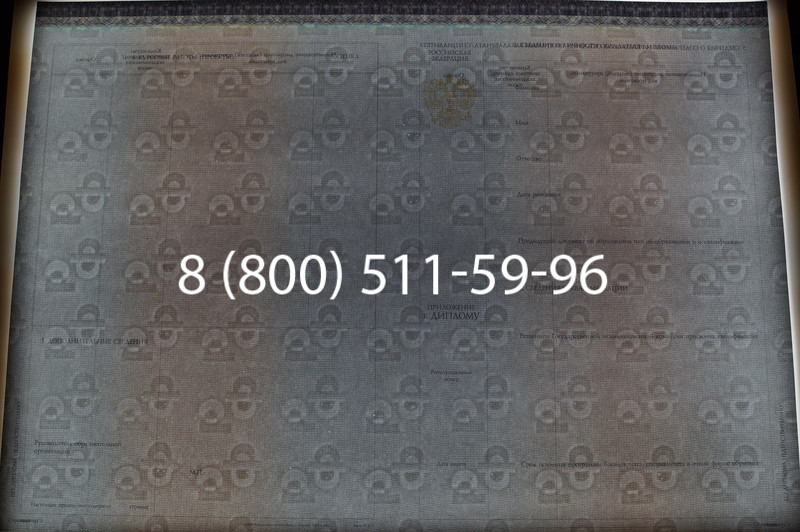 Заказать Диплом бакалавра (Киржач) 2014-2026 года в Тюмени