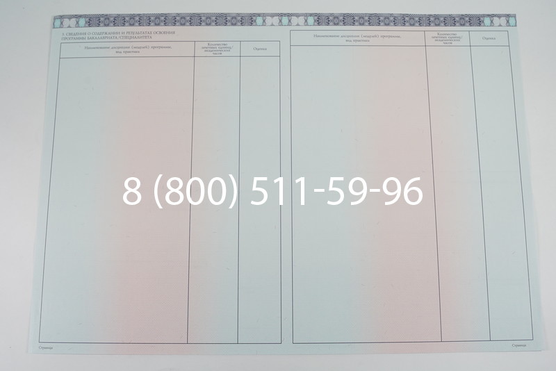 Диплом бакалавра 2014-2026 года в Тюмени