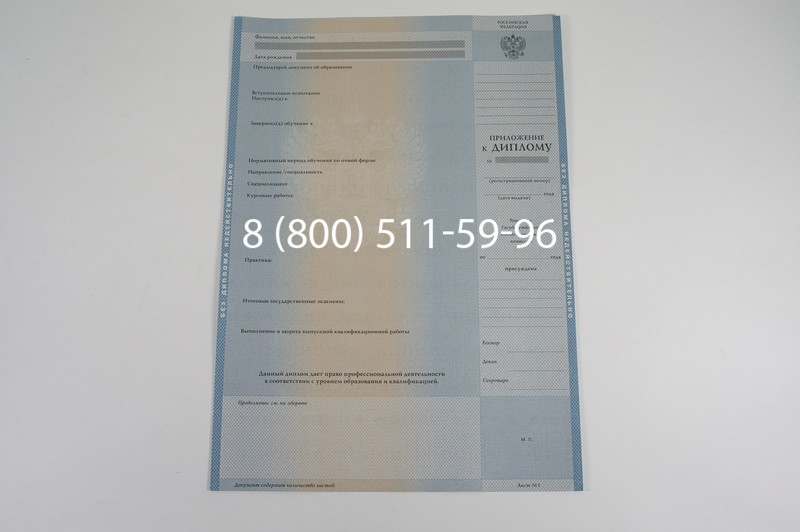 Заказать Диплом бакалавра 1997-2002 годов в Тюмени