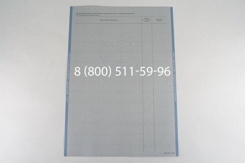 Диплом бакалавра 2003-2009 годов в Тюмени