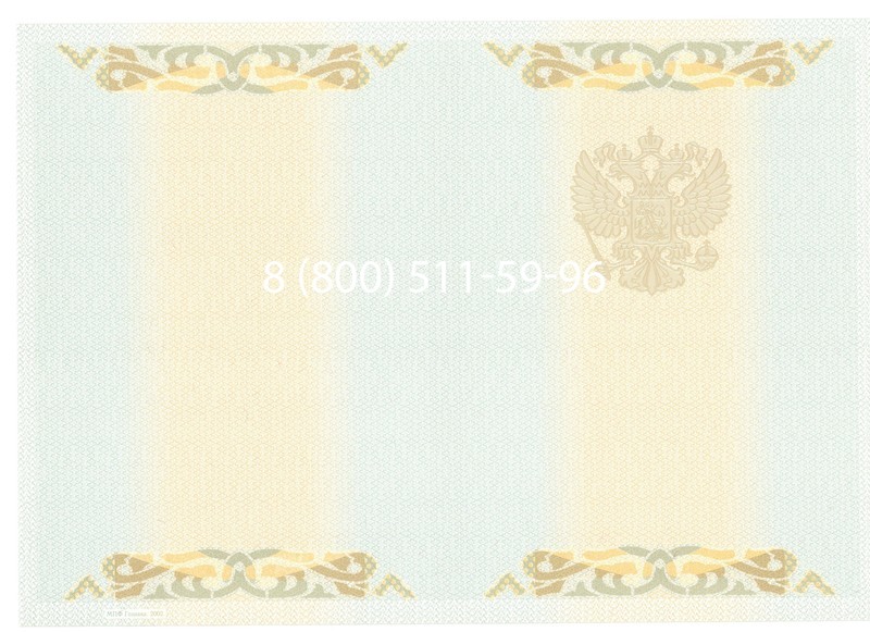 Купить Диплом бакалавра 2003-2009 годов в Тюмени