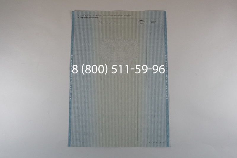 Диплом бакалавра 2012-2013 годов в Тюмени