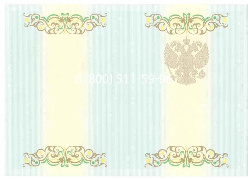 Купить Диплом бакалавра 2012-2013 годов в Тюмени