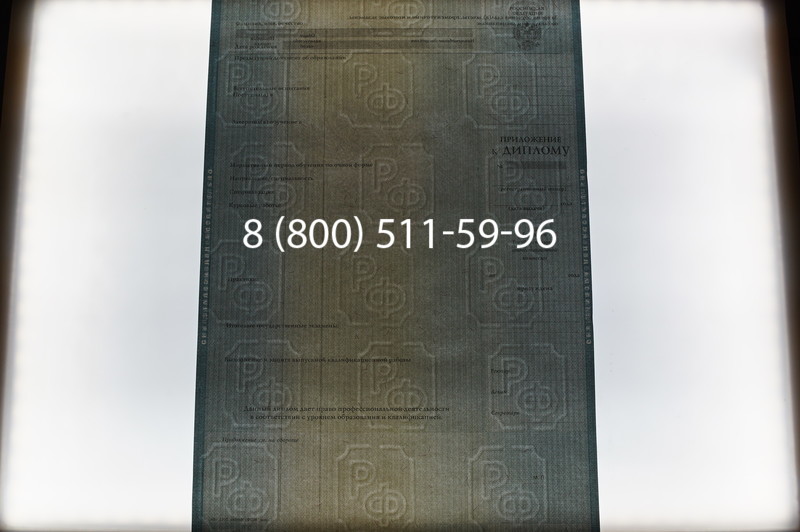 Заказать Диплом бакалавра 2012-2013 годов в Тюмени