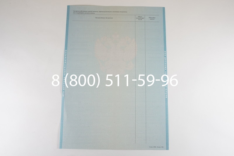 Диплом бакалавра 2010-2011 годов в Тюмени