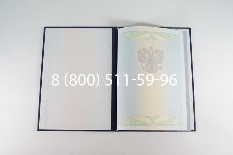 Диплом бакалавра 2010-2011 годов в Тюмени