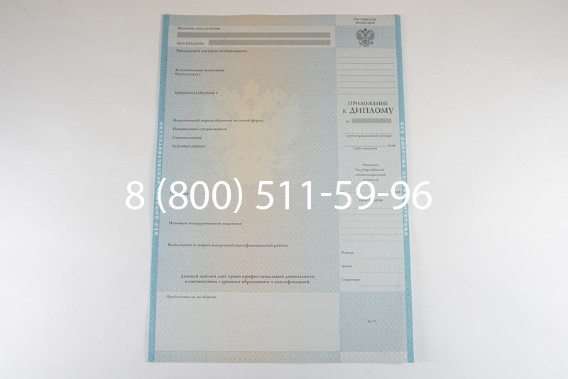 Диплом бакалавра 2010-2011 годов в Тюмени
