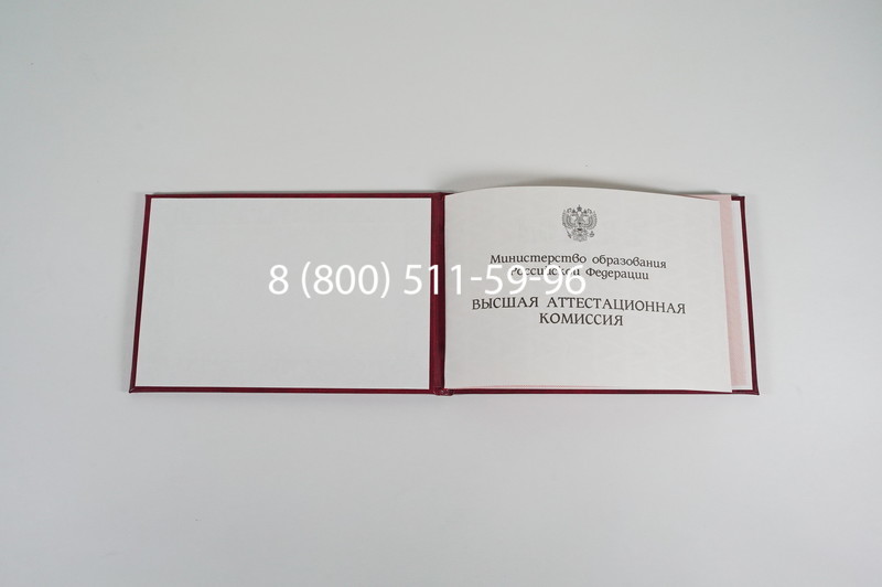 Диплом доктора наук 1995-2006 года в Тюмени