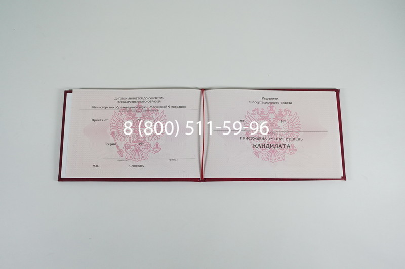 Заказать Диплом кандидата наук 2010 в Тюмени