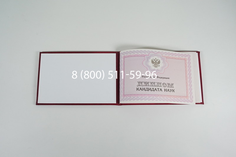Заказать Диплом кандидата наук 2010 в Тюмени