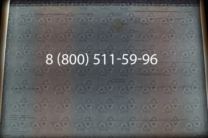 Заказать Диплом магистра (КИРЖАЧ) 2014-2026годов в Тюмени