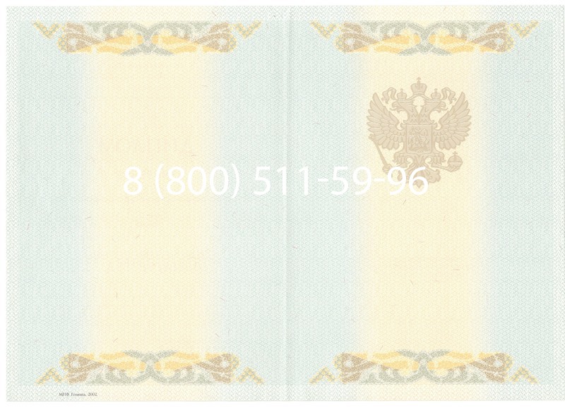 Купить Диплом магистра 2003-2009 годов в Тюмени