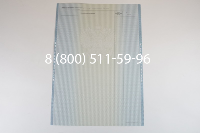 Диплом магистра 2012-2013 годов в Тюмени