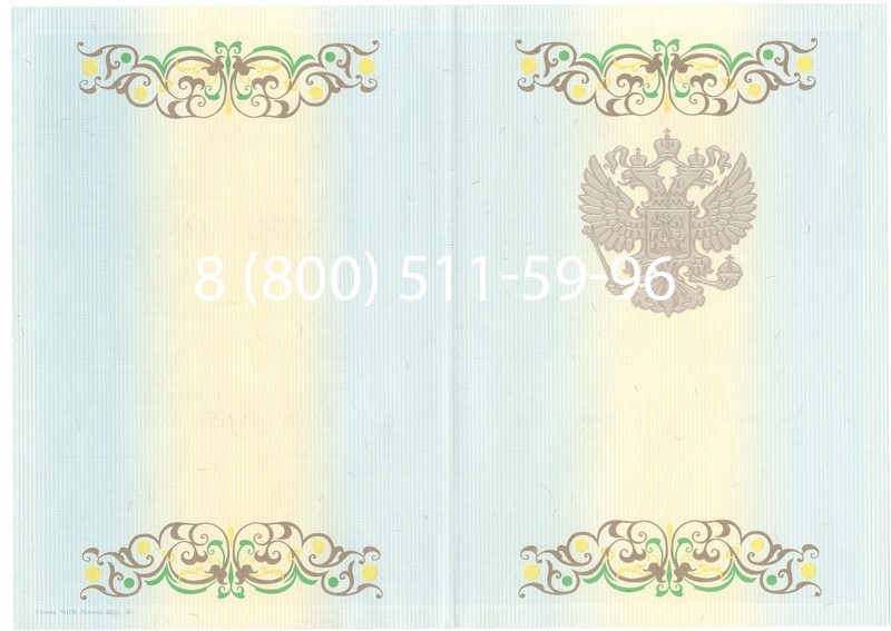 Заказать Диплом магистра 2012-2013 годов в Тюмени