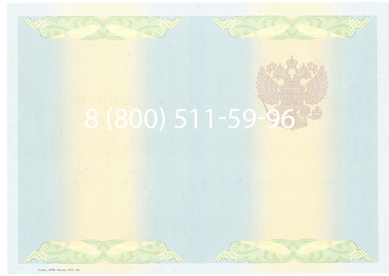 Купить Диплом магистра 2010-2011 годов в Тюмени