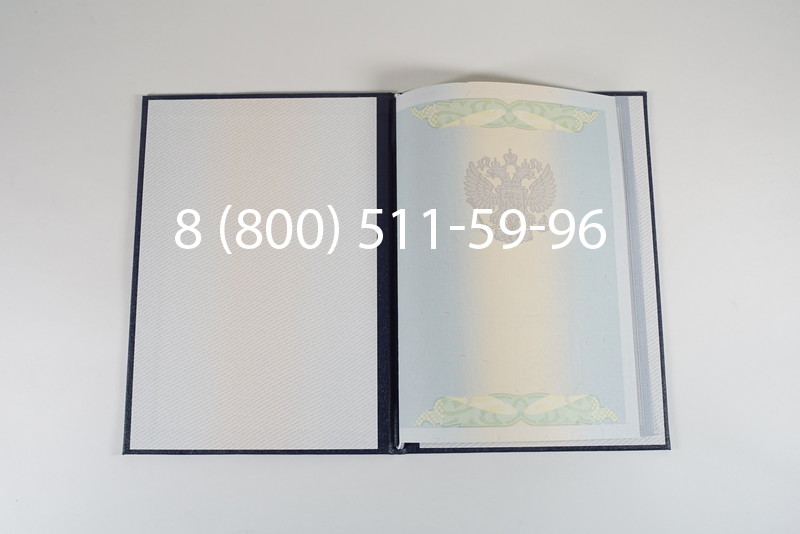 Диплом магистра 2010-2011 годов в Тюмени