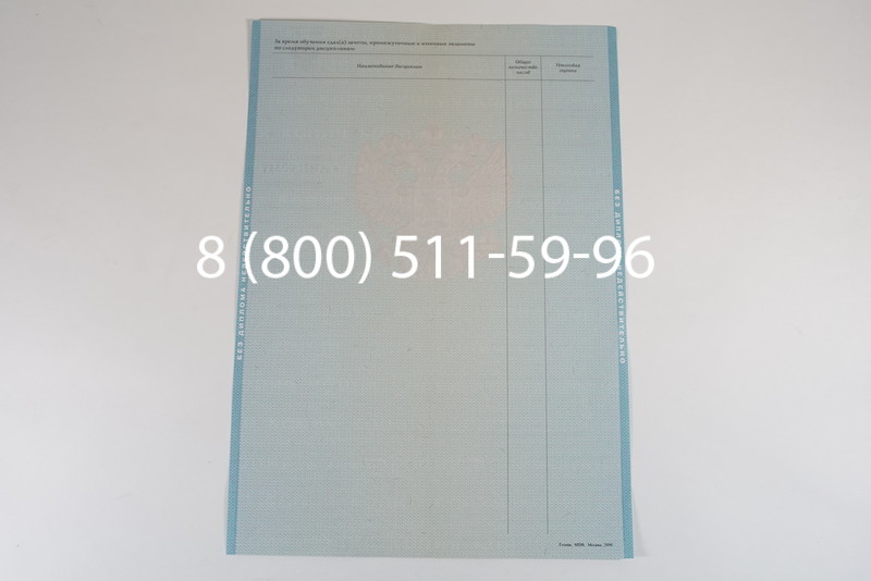 Диплом магистра 2010-2011 годов в Тюмени