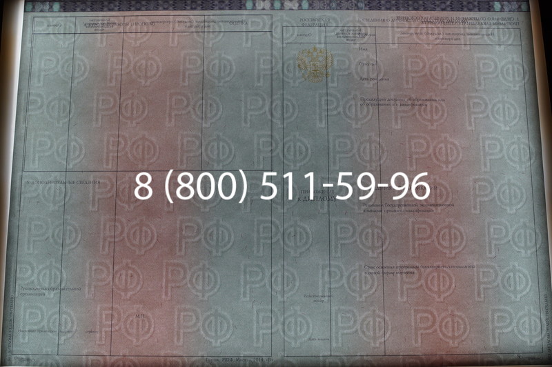 Заказать Диплом о высшем образовании 2014-2026 годов в Тюмени