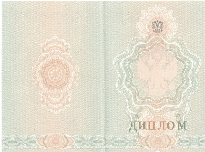 Купить Диплом о начальном образовании  2007-2009 годов в Тюмени