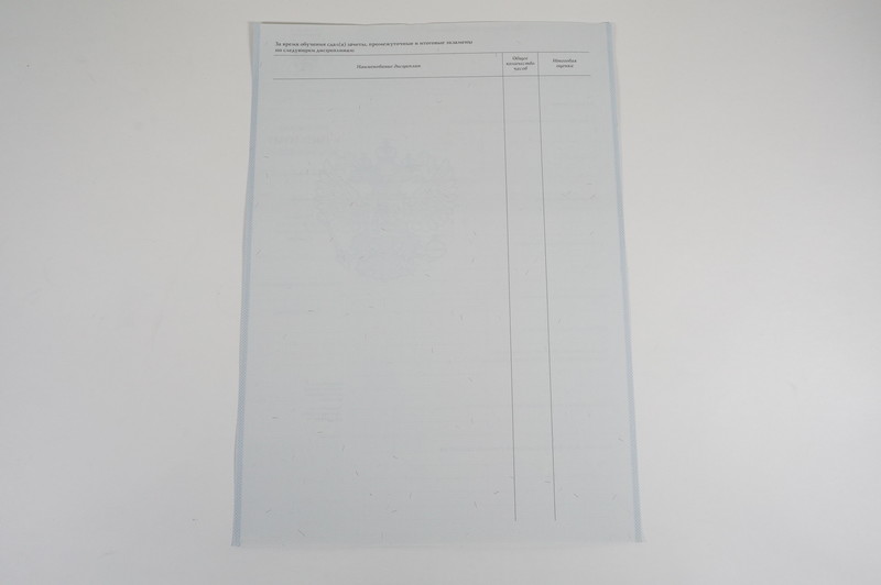 Диплом о начальном образовании  2007-2009 годов в Тюмени