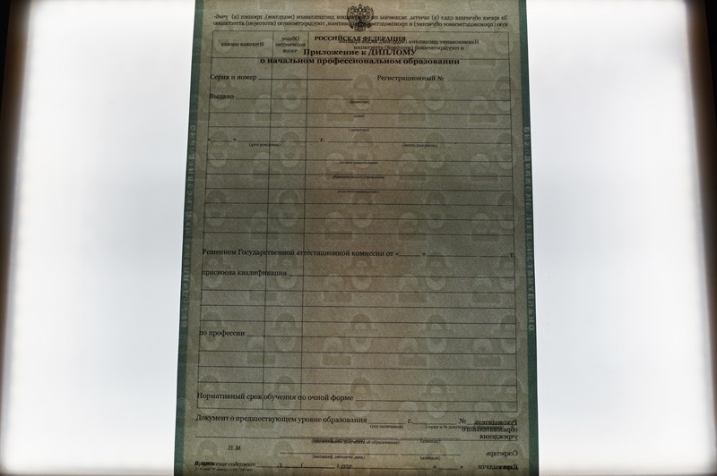 Заказать Диплом о начальном образовании  2010-2026 годов в Тюмени