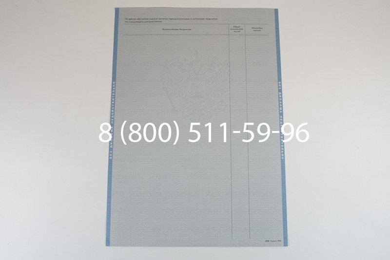 Диплом о высшем образовании 2003-2009 годов в Тюмени