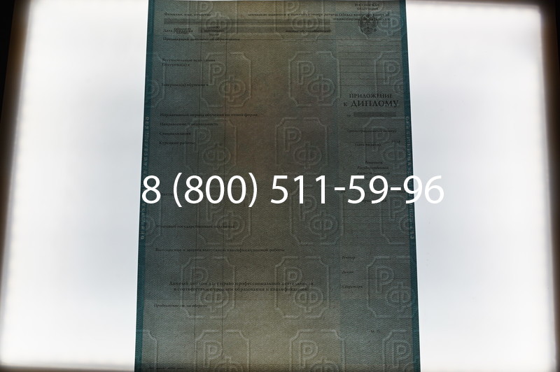 Заказать Диплом о высшем образовании 2010-2011 годов в Тюмени