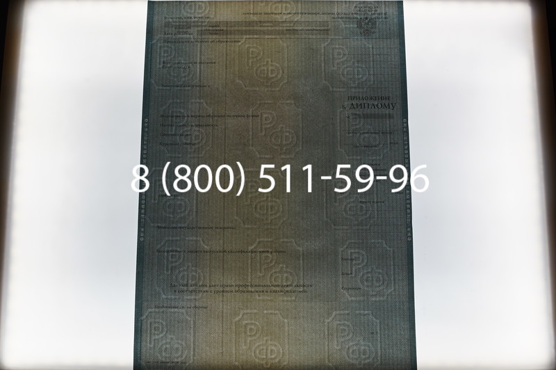 Заказать Диплом о высшем образовании 2012-2013 годов в Тюмени