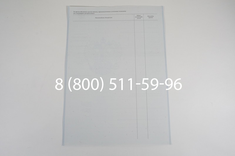 Диплом ПТУ 2007-2010 годов в Тюмени