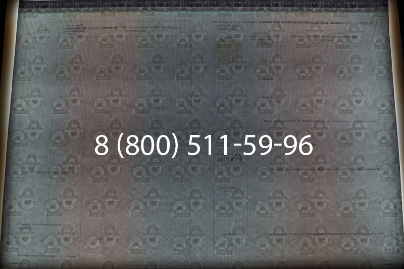 Заказать Диплом специалиста (КИРЖАЧ) 2014-2026 года в Тюмени