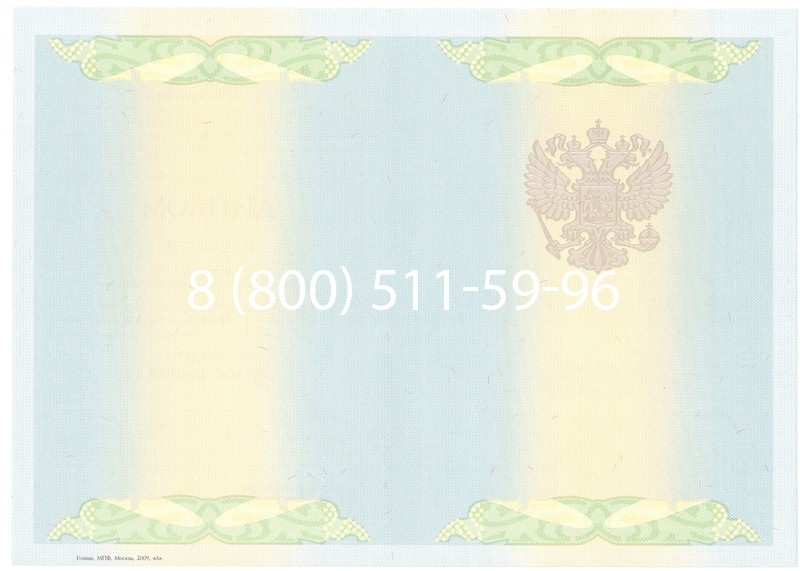 Купить Диплом специалиста 2010-2011 годов в Тюмени