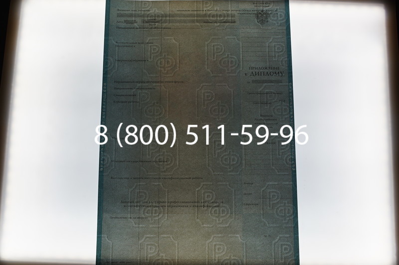 Заказать Диплом специалиста 2010-2011 годов в Тюмени
