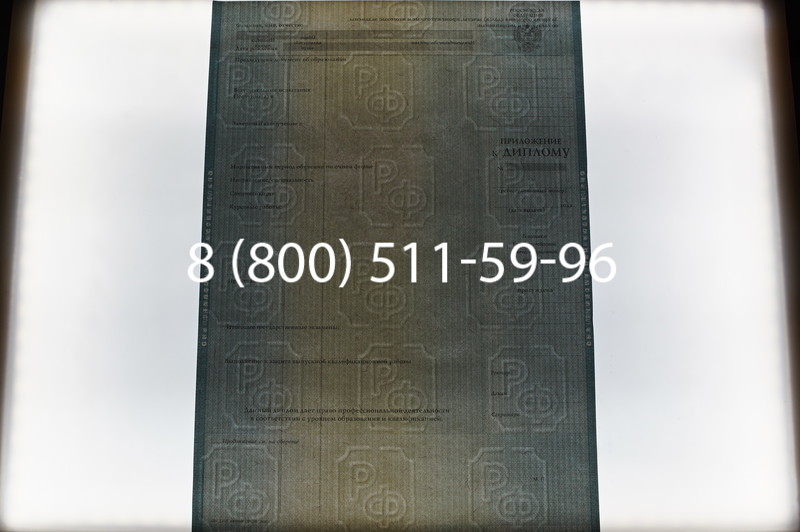 Заказать Диплом специалиста 2012-2013 годов в Тюмени