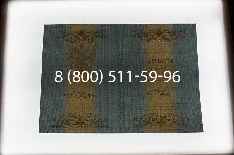 Заказать Диплом специалиста 2012-2013 годов в Тюмени