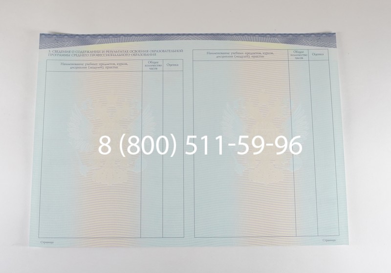 Диплом колледжа (Спецбланк) 2014-2026 года в Тюмени