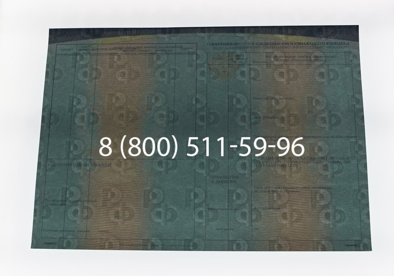 Диплом колледжа (Спецбланк) 2014-2026 года в Тюмени