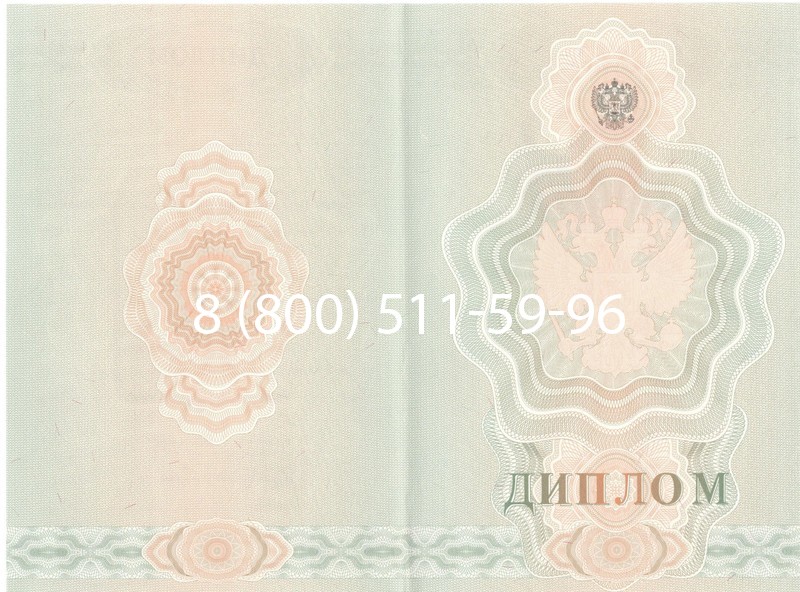 Купить Диплом училища 2007-2009 годов в Тюмени