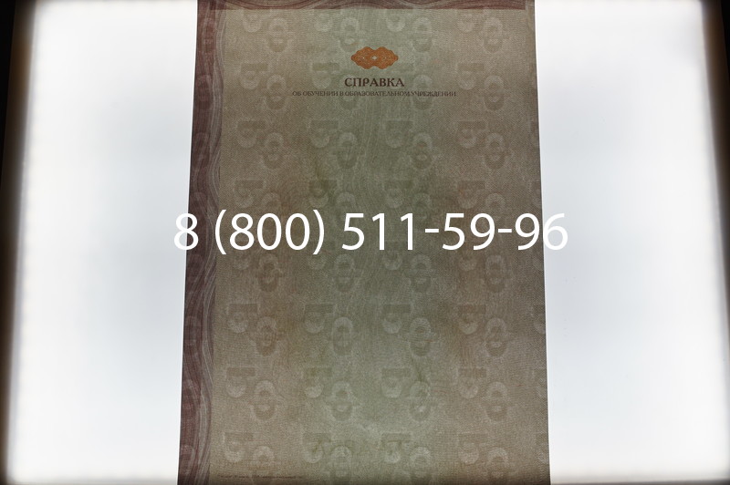 Купить Справка об обучении в Тюмени