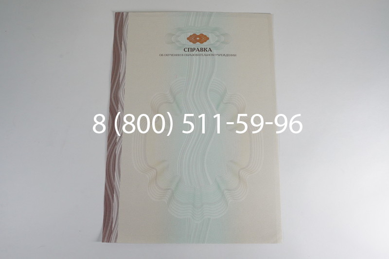 Заказать Справка об обучении в Тюмени