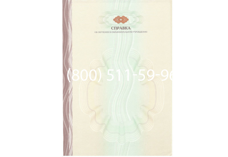 Купить Справка об обучении в Тюмени Купить Справка об обучении в Тюмени